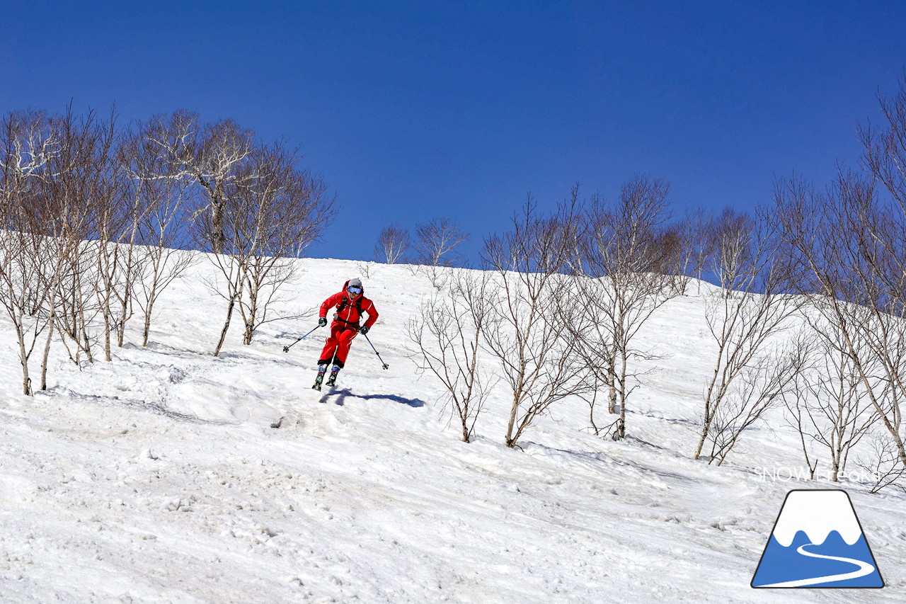 ニセコグラン・ヒラフ DYNASTAR SKI TEST RIDE DAYS Photo Session!!最高の天気に恵まれたニセコに、最高の仲間たちが集まりました☆